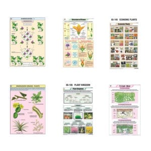 Botany charts