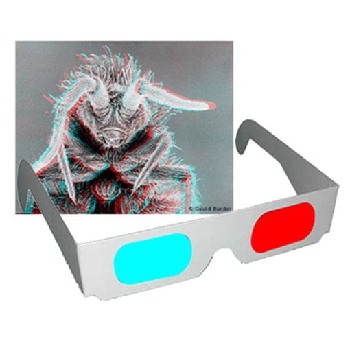 Anaglyphic 3D Glasses